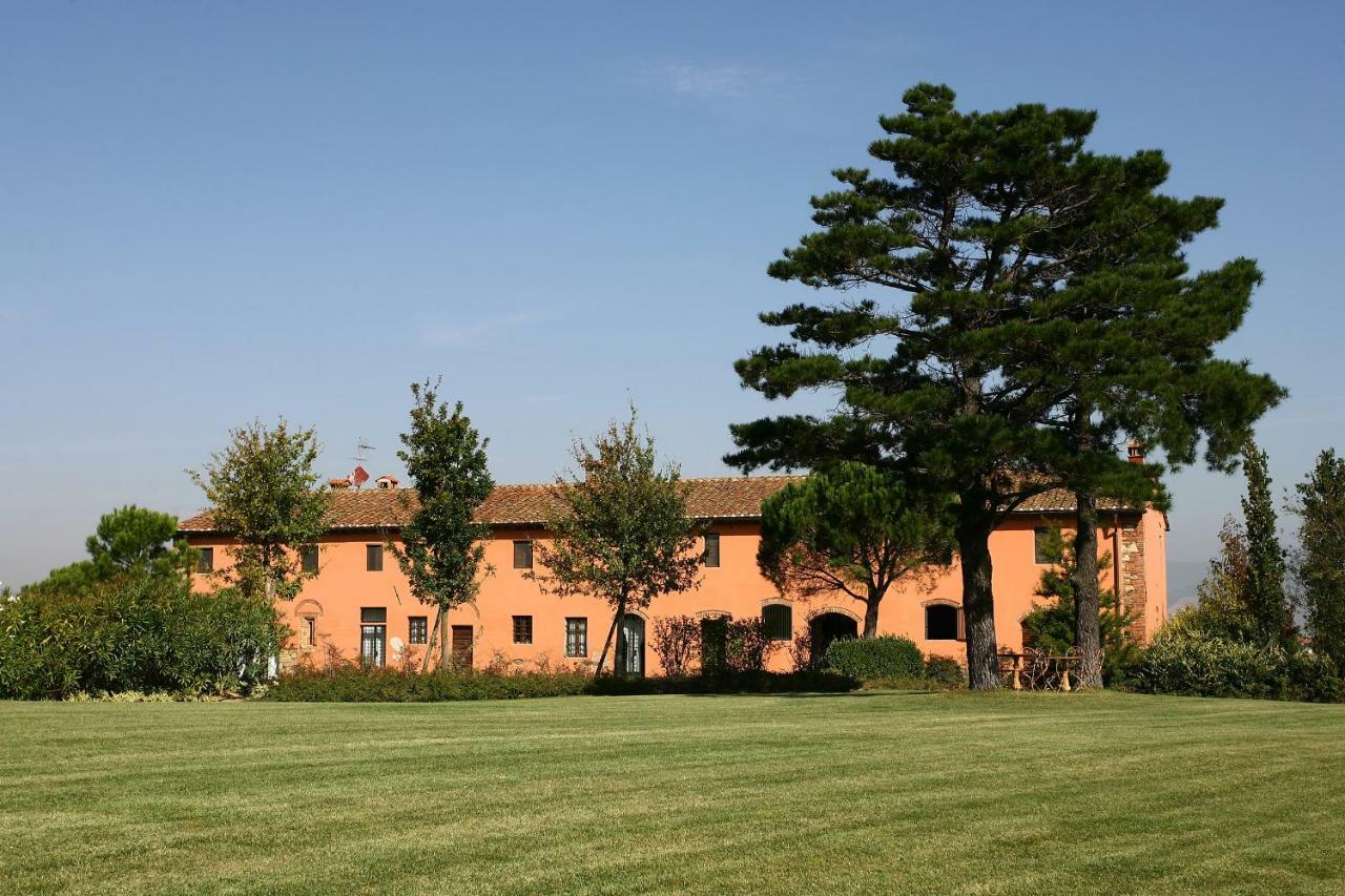 La Magnifica B&B Fauglia Екстер'єр фото